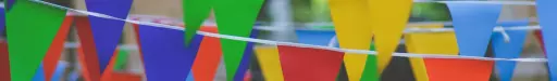 Cms Page Banner