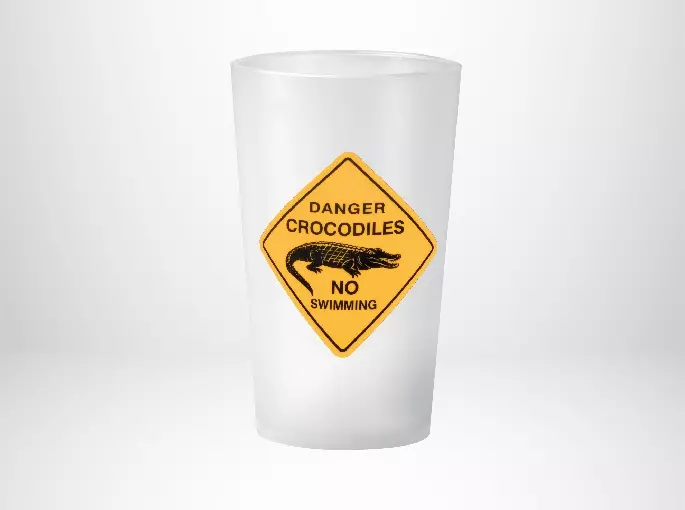 Anniversaire Danger Crocodiles